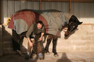 farrier