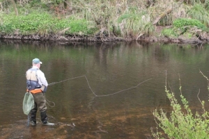 fishing-lower-dale
