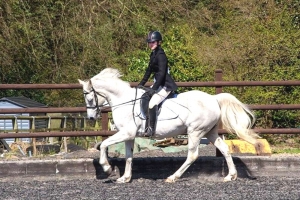 flat-work