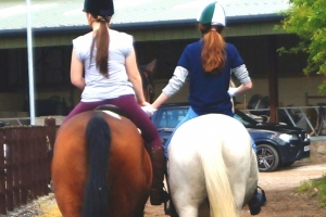 friends