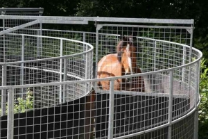 horse-walker