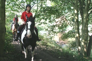 horses-by-Goyt