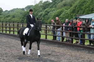 mark-dressage