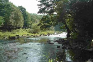 river-scene